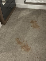 Carpet Stain