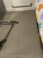 Carpet Stain Removal