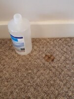 Stained carpet