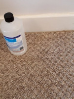 Clean carpet