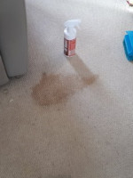 Stained carpet
