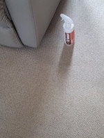 Stained removed