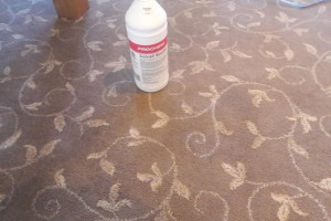 carpet cleaner