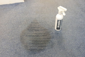 carpet cleaner before