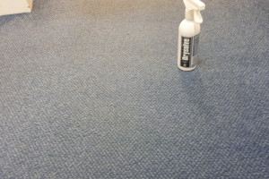 carpet cleaner after